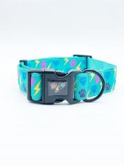 PAWSITIVE ENERGY DOG COLLARS